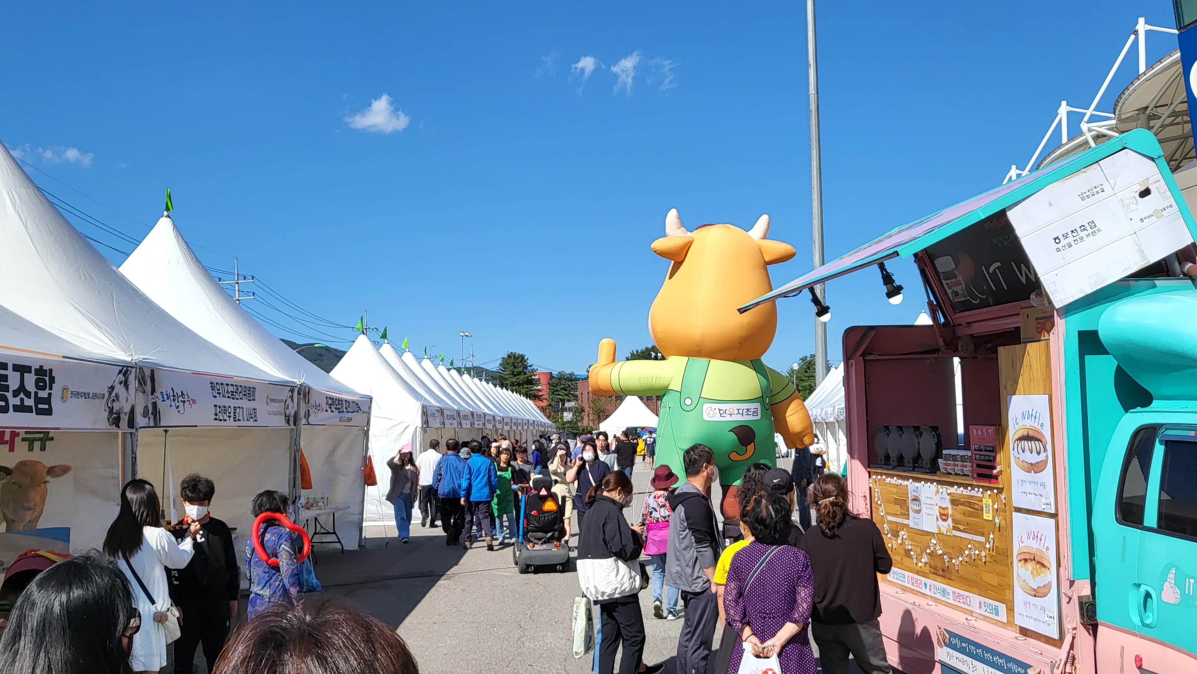 포천한우축제 현장 사진 2