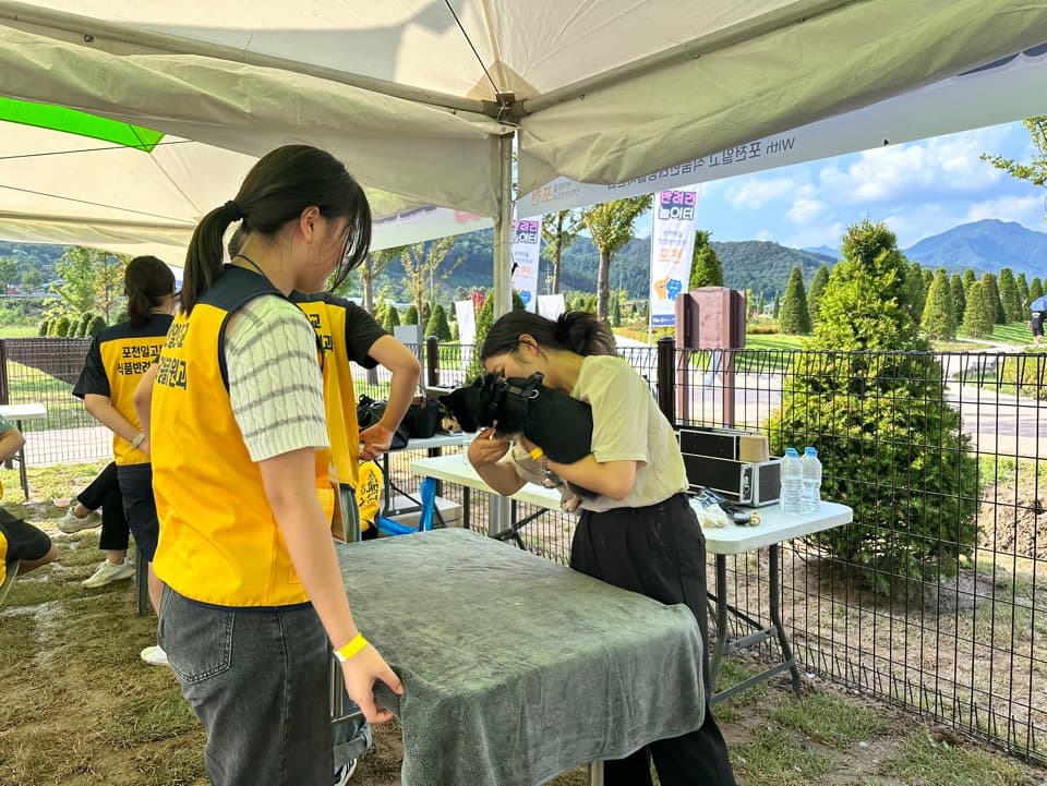 펫티켓클래스 현장 사진 2