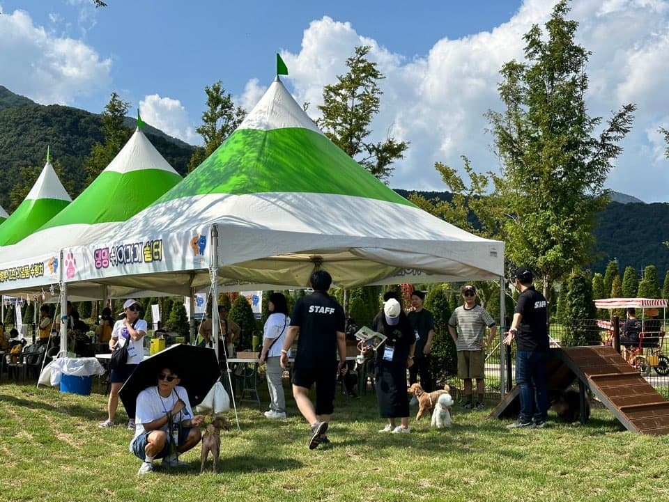 펫티켓클래스 현장 사진 3